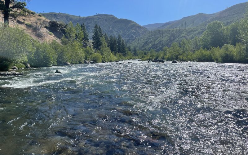 Truckee River Guide Trip